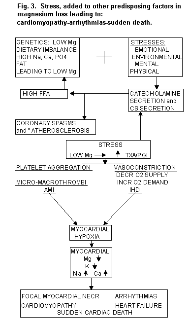 Synthesis Of Catecholamines